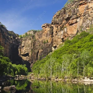 aus north