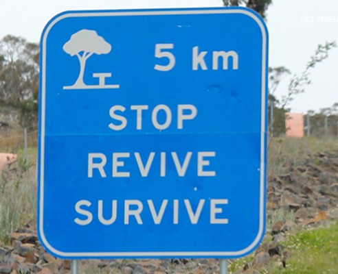 Stop Revive Survive