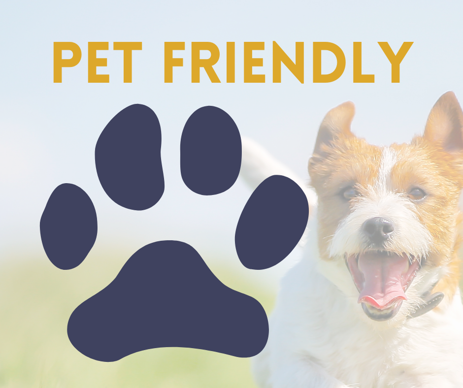 Looking for Pet Friendly Accommodation 